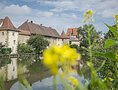 Seeweiher in Weißenburg in Bayern