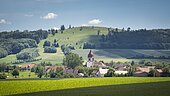 Gelber Berg bei Sammenheim